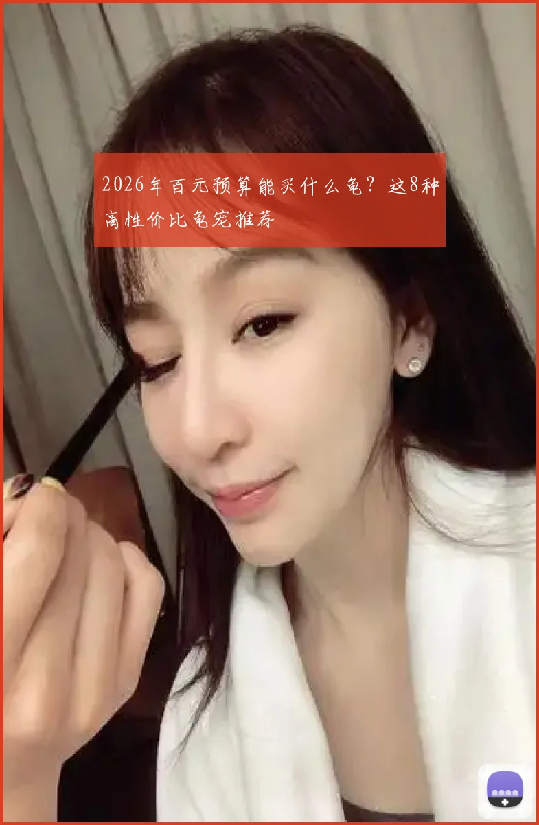 2026年百元预算能买什么龟？这8种高性价比龟宠推荐