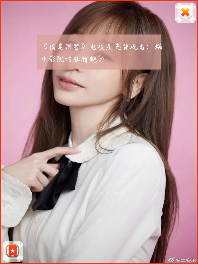 《我是刑警》电视剧免费观看：蜗牛影院的独特魅力