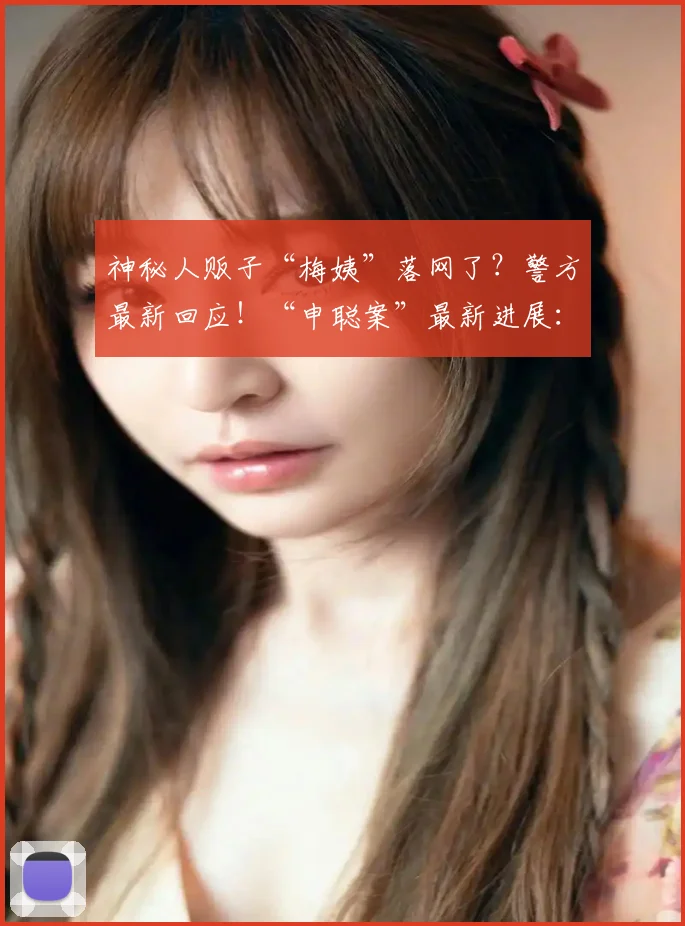 神秘人贩子“梅姨”落网了？警方最新回应！“申聪案”最新进展：两案犯本周五将被执行死刑