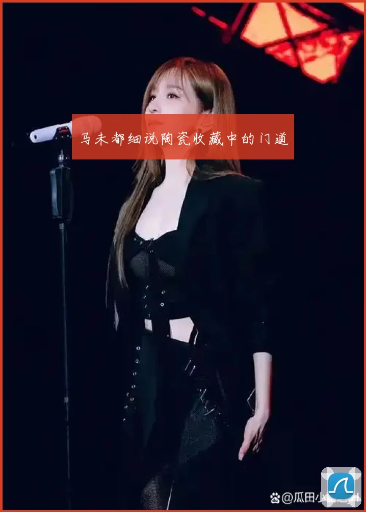 马未都细说陶瓷收藏中的门道