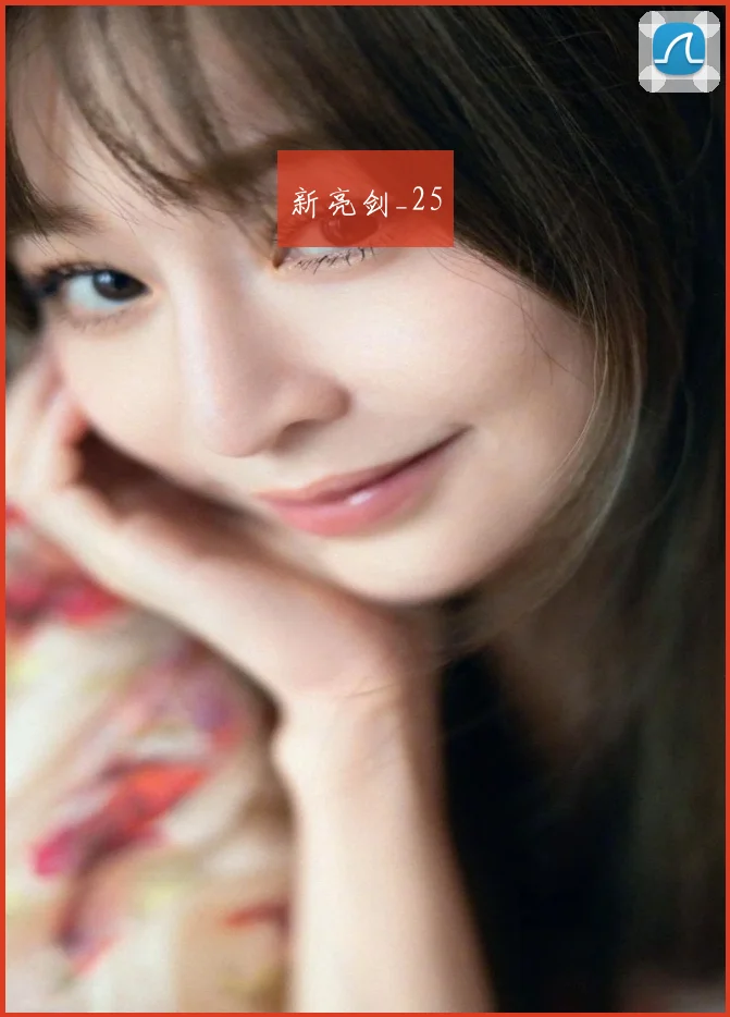 新亮剑_25