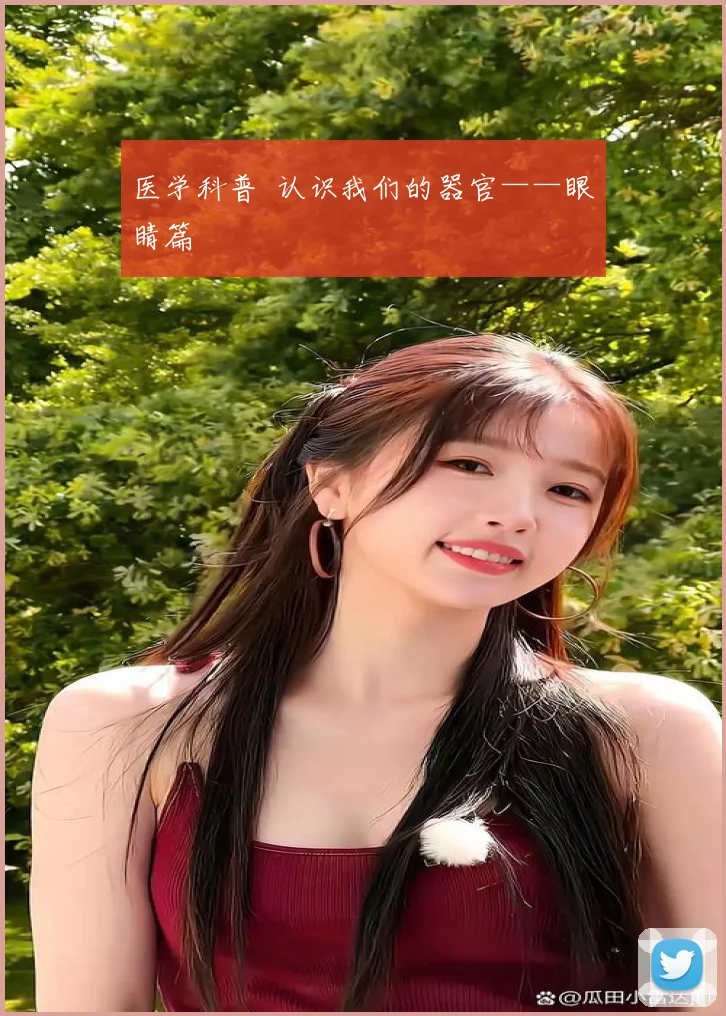 医学科普 认识我们的器官——眼睛篇