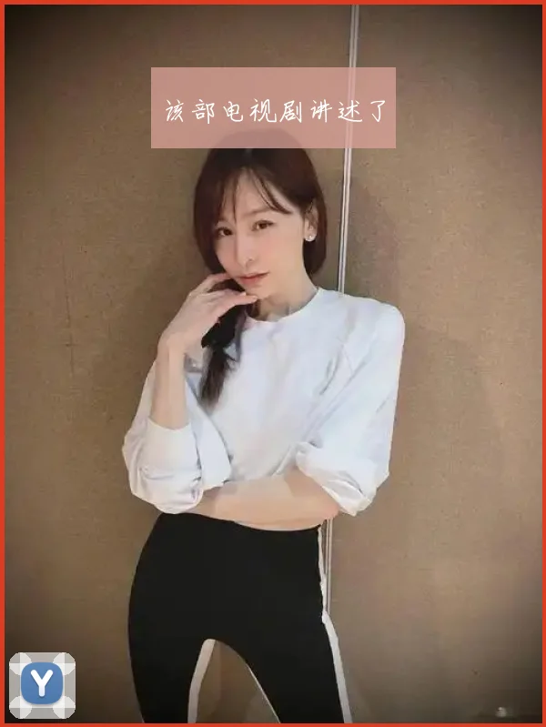 该部电视剧讲述了