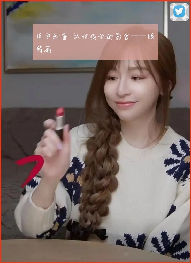 医学科普 认识我们的器官——眼睛篇