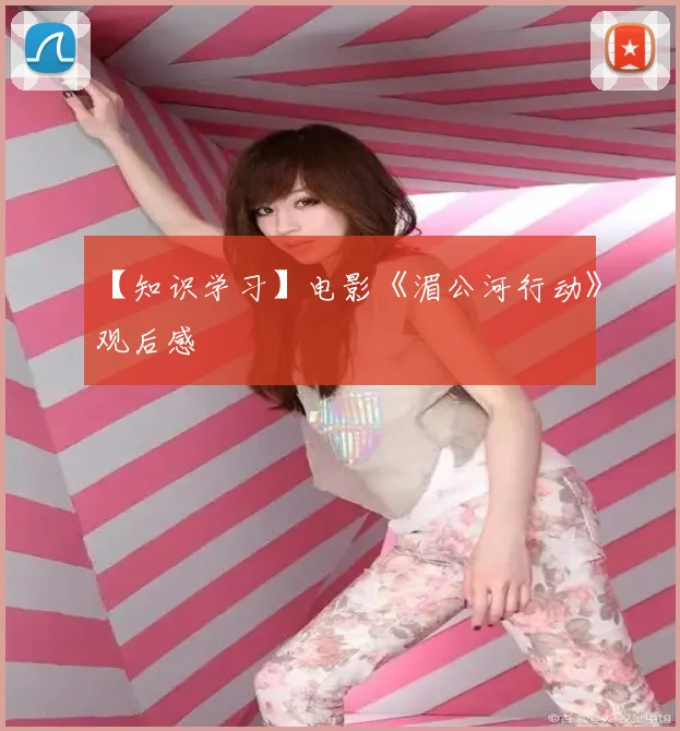 【知识学习】电影《湄公河行动》观后感