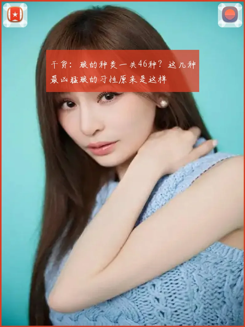 干货：狼的种类一共46种？这几种最凶猛狼的习性原来是这样