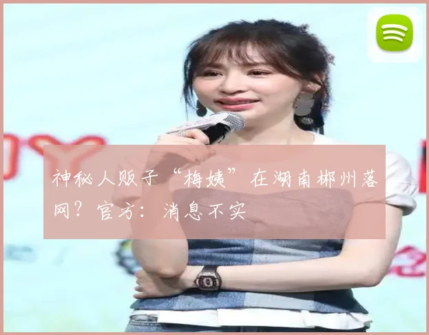 神秘人贩子“梅姨”在湖南郴州落网？官方：消息不实