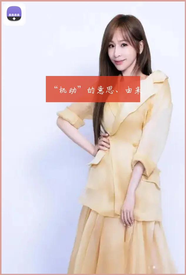 “机动”的意思、由来