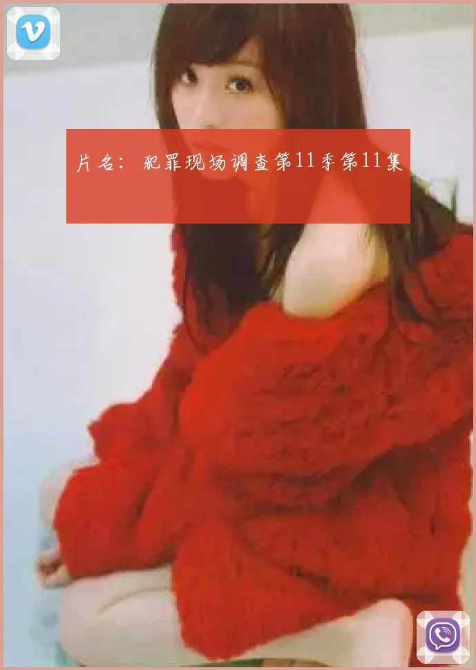 片名：犯罪现场调查第11季第11集