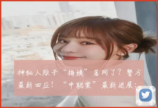 神秘人贩子“梅姨”落网了？警方最新回应！“申聪案”最新进展：两案犯本周五将被执行死刑