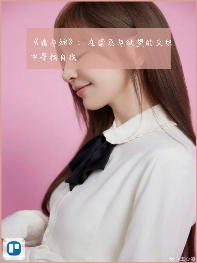 《花与蛇》:在禁忌与欲望的交织中寻找自我