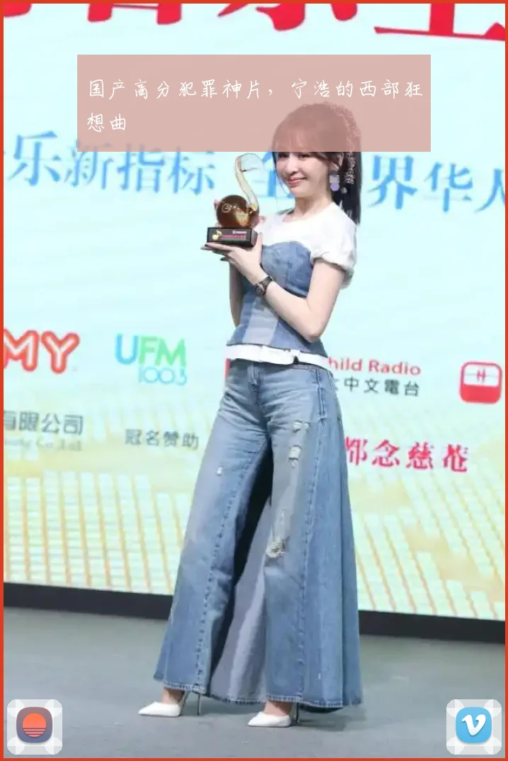 国产高分犯罪神片，宁浩的西部狂想曲