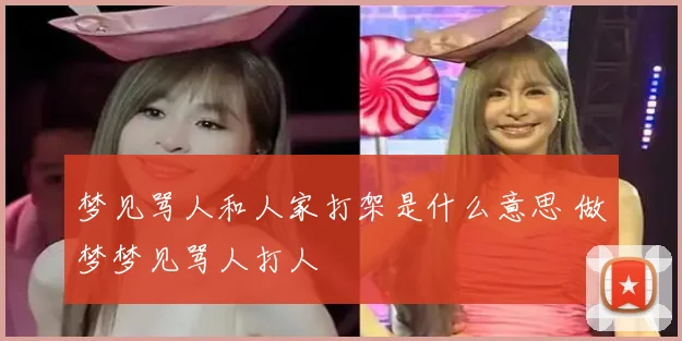 梦见骂人和人家打架是什么意思 做梦梦见骂人打人