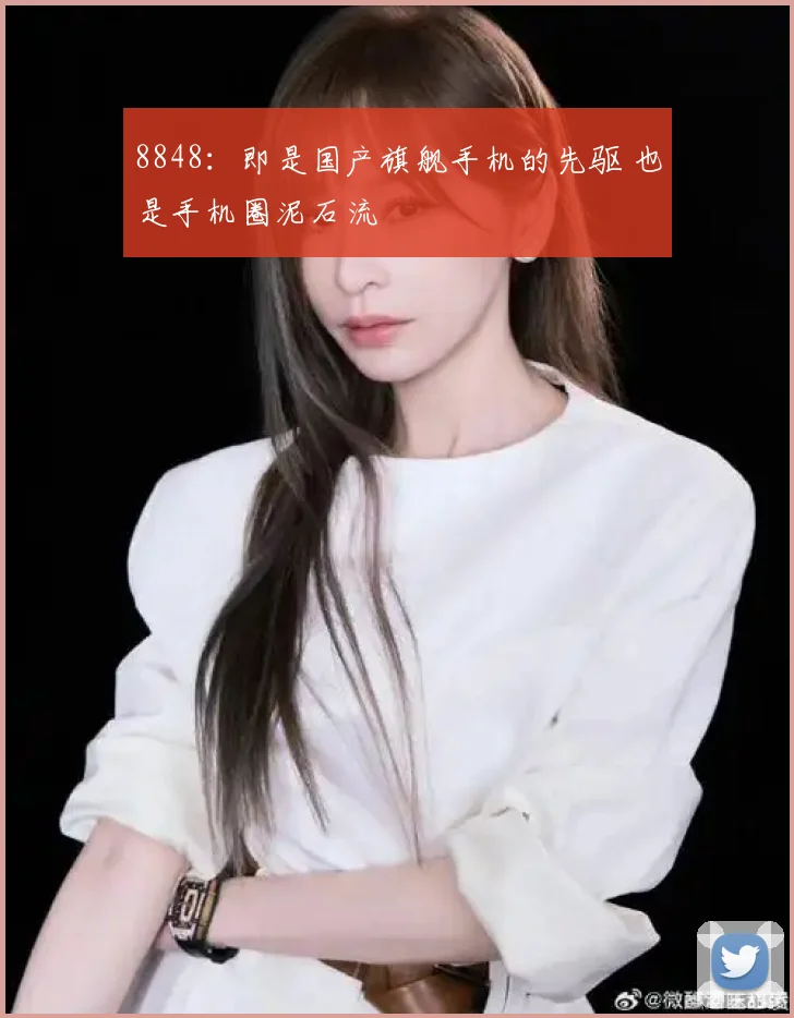 8848：即是国产旗舰手机的先驱 也是手机圈泥石流