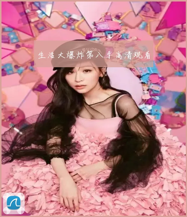 生活大爆炸第八季高清观看