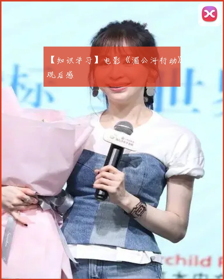 【知识学习】电影《湄公河行动》观后感