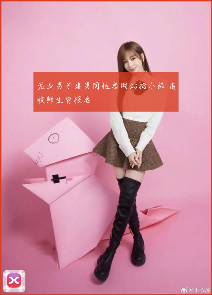 无业男子建男同性恋网站招小弟 高校师生皆报名