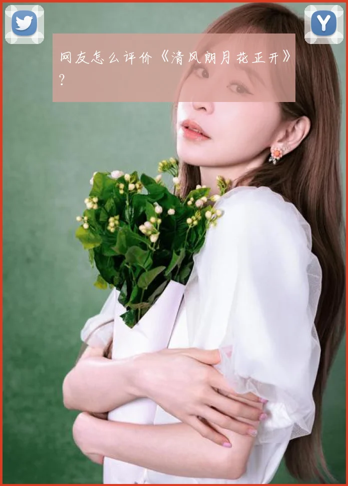 网友怎么评价《清风朗月花正开》？