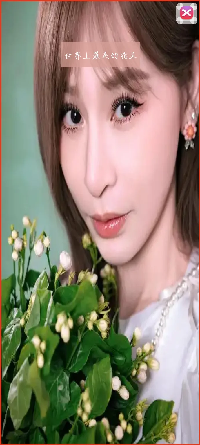 世界上最美的花朵