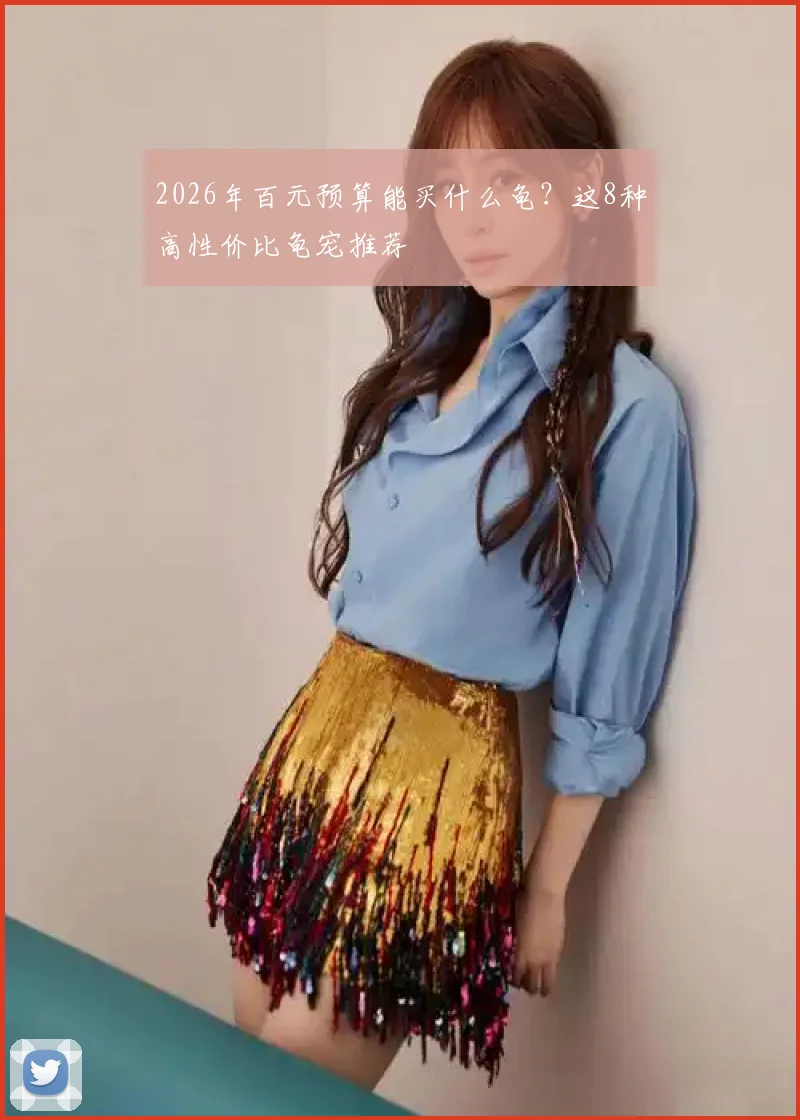 2026年百元预算能买什么龟？这8种高性价比龟宠推荐